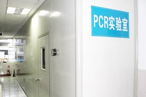 PCR实验室设计规划，从0开始